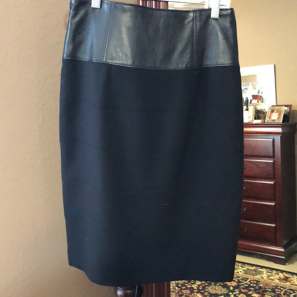 Teri Jon skirt